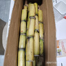 广西黄皮甘蔗水果黑皮甘蔗新鲜黄果蔗可榨汁煲汤削皮即食产地直发 【囤货】黄皮甘蔗9斤 实拍图