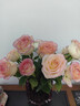 京东鲜花产地仓严选玫瑰颜色随机家庭插花随机玫瑰10枝源头直发 实拍图