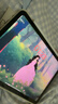 Apple/苹果 iPad11英寸 A16芯片2025年款 平板电脑 (256GB WLAN版/学习办公娱乐)银色 实拍图
