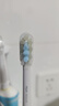 米家适配T301/T302 米家声波电动牙刷头(标准型)3支装 实拍图