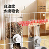 疯狂的主人宠物悬挂式喂食器狗狗猫咪饮水机兔子食盆挂笼宠物喝水猫碗狗食盆 实拍图