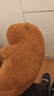 熊猫熊卡皮巴拉玩偶公仔毛绒玩具布娃娃睡觉抱枕土拨鼠生日礼物女生33cm 实拍图