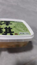 洋琪食品芥末贝柱150g  烧烤夜宵出游 下酒下饭小菜 海鲜零食日式扇贝柱  实拍图