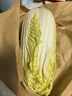 京鲜生山东新鲜大娃娃菜净重3斤单棵300g+新鲜蔬菜 黄心娃娃菜源头直发 实拍图