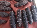 官参堂 大连淡干海参干货 至甄100g 12-20只 底播辽刺参海鲜礼盒装 实拍图
