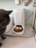 小佩智能自动喂食器SOLO白色 猫碗猫狗喂食器定时定量猫咪自动投食器 实拍图