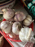 【营田半亩】蒜干蒜头蒜大蒜紫白皮大蒜当季蔬菜0.5-5斤 2斤带箱重【果径4.5-5cm】大果 实拍图