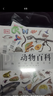 DK动物百科 动物界的生命奇迹 DK博物大百科后又一力作 1000余个动物物种+3000余张精美实拍 总销量超150万册 中小学生课外读物 寒假推荐阅读 省钱卡年货节 实拍图