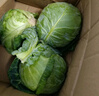 包菜新鲜卷心菜大头菜农户自种当季绿叶蔬菜绿甘蓝 绿甘蓝 5斤 实拍图