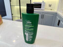 欧莱雅茶树洗发水 植萃去屑清爽控油去油男士女士洗发露500ml 实拍图