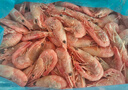 京东超市 海外直采熟冻腹籽北极甜虾3斤 大号(80-100规格) 解冻即食 自营 实拍图