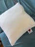 南极人抱枕家纺全棉防羽布提带高弹沙发抱枕芯简约汽车方垫芯舒适办公室靠垫芯多尺寸单只 40X40cm 实拍图