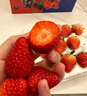 京鲜生 丹东红颜草莓300g+蓝莓15mm*3盒 美莓生鲜水果礼盒 实拍图
