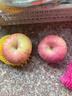 京鲜生 烟台红富士苹果 净重8斤  单果230g起 水果礼盒 实拍图