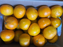 京鲜生 福建永安蜜橘 5斤 单果50g起 橘子/桔子  生鲜水果礼盒 实拍图
