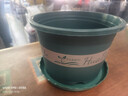 花盆绿植盆栽加厚塑料简约多肉小盆阳台客厅月季玫瑰大号家用花盆 矮款3加仑(口径21cm)2个盆 配套托盘 实拍图