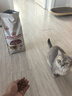 皇家成猫猫粮 营养均衡 F32 通用粮 1-7岁 2KG 实拍图