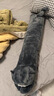 野兽派家居（tbh）懒蓝猫长条抱枕靠垫卧室夹腿办公室抱枕沙发可爱腰枕车载抱枕 实拍图