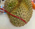京鲜生 进口金枕头榴莲 净重4-5斤 1个装  鲜果 生鲜 新鲜水果 实拍图