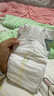 babycare皇室狮子王国弱酸纸尿裤中号M50片(6-11kg)婴儿尿不湿亲肤透气 实拍图
