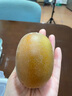 佳沛（zespri）新西兰阳光金奇异果 8个装 特大果单果重约122-146g 水果猕猴桃 实拍图