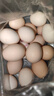 可生食鸡蛋含DHA无抗Omega-3 新鲜鸡蛋 早餐买菜无菌蛋京东包邮 270g DHA鸡蛋6枚 实拍图