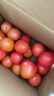 新鲜沙瓤大番茄生吃西红柿减肥早餐即食新鲜蔬菜生鲜单果＞100g 囤货装 5斤 净重 实拍图