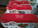 优诺（yoplait）优丝酸奶原味*6+草莓酸奶*3+蓝莓酸奶*3 家庭分享装【源头直发】 实拍图