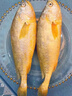 海名威 冷冻黄花鱼700g/2条 宁德大黄鱼地标 海鲜水产 生鲜鱼类 海鱼 实拍图