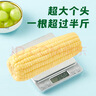十月稻田 白糯玉米 4.16斤(260g*8根) 东北甜黏玉米棒 早餐苞米 低脂零食 实拍图