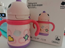 babycare儿童保温杯婴儿宝宝吸管水杯霸王龙不锈钢保温杯300ml-新旧款混发 实拍图
