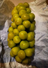 京觅甘肃晴王觅光葡萄 净重5斤 单粒8-10g 香印青提 源头直发 实拍图