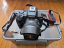 相机防潮箱照相机专用收纳箱镜头干燥剂防潮密封收纳盒电子吸湿卡摄影器材柜微单数码相机防尘箱 【大号L防潮箱+防磕内胆】送变色干燥剂10 实拍图