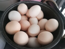 京鲜生【每日鲜蛋】无抗谷物鸡蛋30枚 3.18斤 当日产蛋 当日发货 实拍图