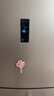 容声253升一级能效三开门小电冰箱家用小型风冷无霜节能出租房宿舍家电国家补贴BCD-253WD16NPA璀璨金 实拍图
