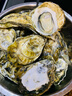 乳山牡蛎 鲜活乳山生蚝2XL 净重3斤 9-12只 生鲜海鲜  源头直发 烧烤食材 实拍图