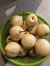 正宗河北鸭梨大果新鲜10斤脆甜梨子水果当季整箱包邮5斤赵县雪梨 特级鸭梨净重9斤 实拍图