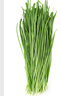 绿色韭菜250g 实拍图