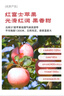 京鲜生 烟台红富士苹果 净重5.2斤/12粒  单果190-240g  水果礼盒 实拍图