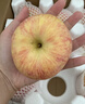 京地达烟台栖霞红富士苹果净重4.5斤单果约193g烟台苹果水果源头直发 实拍图