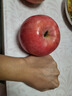 京鲜生山东烟台红富士苹果 净重5斤 单果85-90mm 生鲜水果 源头直发 实拍图