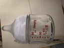 贝亲【新生儿第一个奶瓶】玻璃奶瓶宽口径奶瓶80ml SS号奶嘴 0月+ 实拍图
