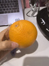 新奇士（Sunkist） 澳洲黑标晚熟脐橙 8斤礼盒装  单果220g起 新鲜水果礼盒 实拍图