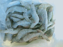 东上御品虾 青岛大虾基围虾鲜活青虾白虾海虾对虾冰虾冻虾生鲜 虾类 海鲜 3斤(净重)  气冻大虾【活虾速冻】 15-18cm【单只超大虾】 实拍图
