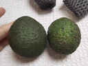 京鲜生 智利即食牛油果大果4粒装 单果130g起 源头直发 包邮 生鲜水果 实拍图