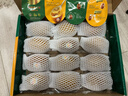 佳沛（zespri）新西兰 阳光金奇异果12粒礼盒特大果单果约122-146g 猕猴桃 水果 实拍图