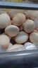 京鲜生富硒鲜鸡蛋30枚 3斤 源头直发 实拍图