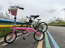 大行（DAHON） 412折叠自行车14英寸单速超轻迷你铝合金学生成人单车BYA412 粉色 实拍图