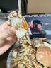 【活蟹】龙行大闸蟹 鲜活六月黄现货螃蟹足重特大公母海鲜礼盒装 全母蟹2.5-2.8两  10只 实拍图