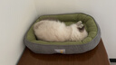 【京东快递】猫窝狗窝中大型狗垫子四季通用狗狗窝垫大型狗窝沙发 草绿色 L- 60*48cm 适合15斤内宠物 实拍图